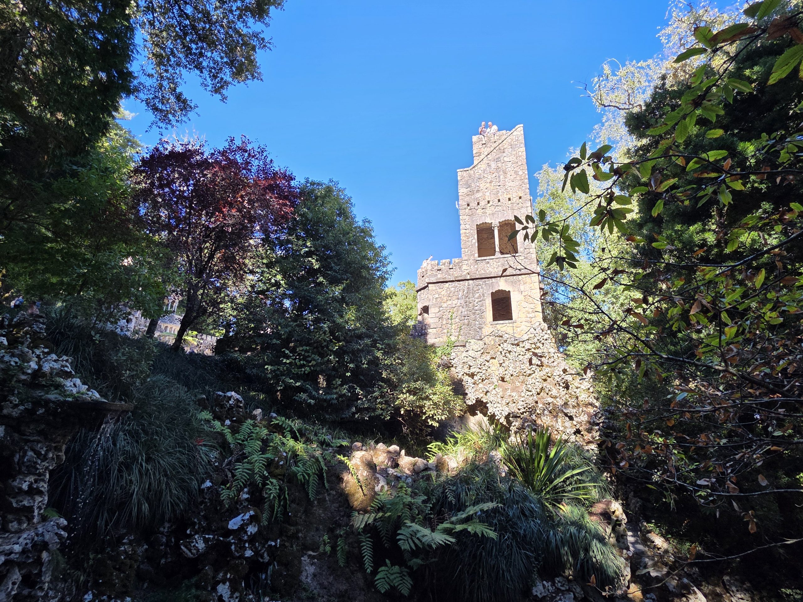 Stone garden tower rising above ferns and rockwork against a clear blue sky.