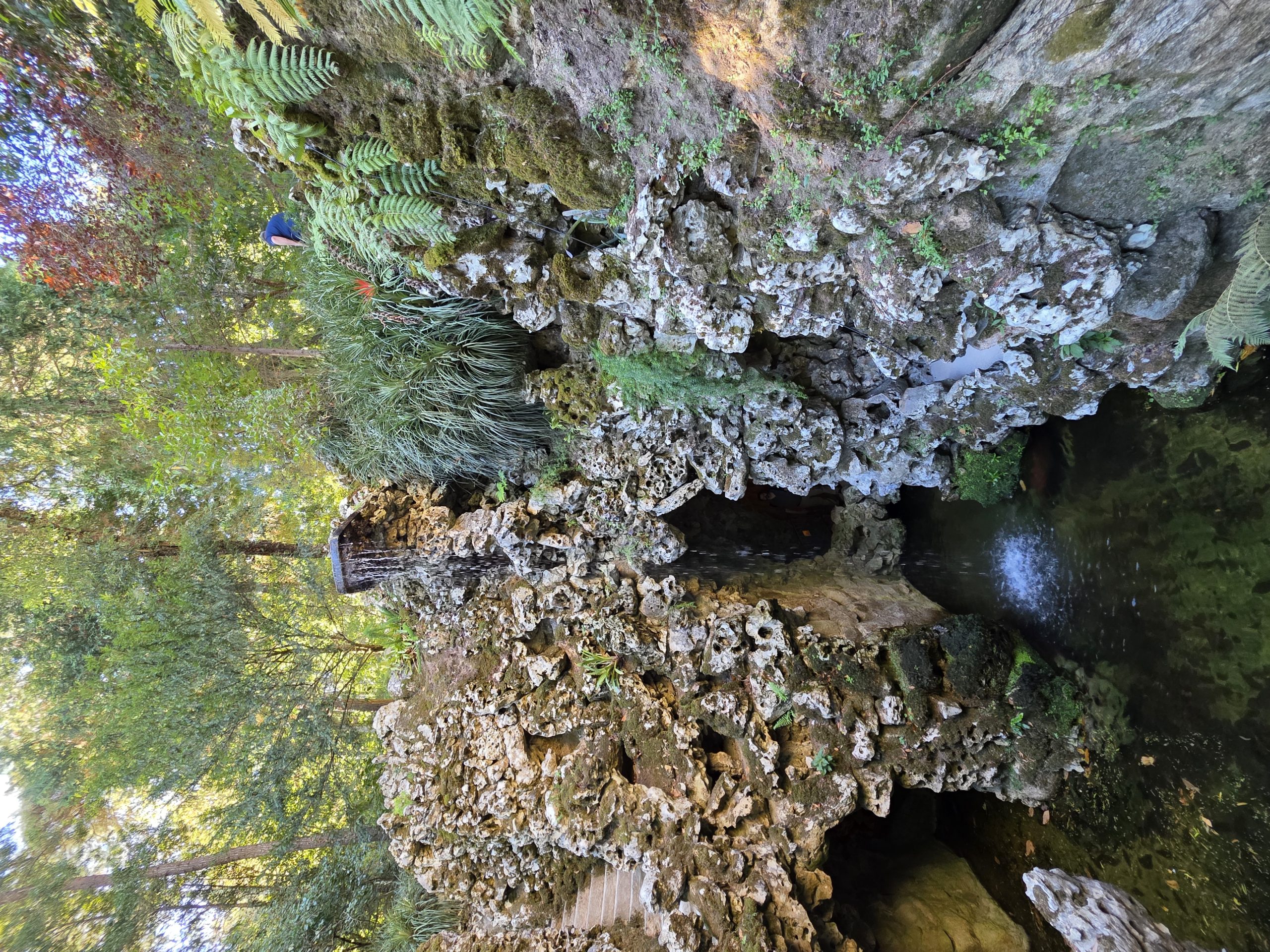 Waterfall spilling over rugged rockwork into a pool surrounded by ferns.